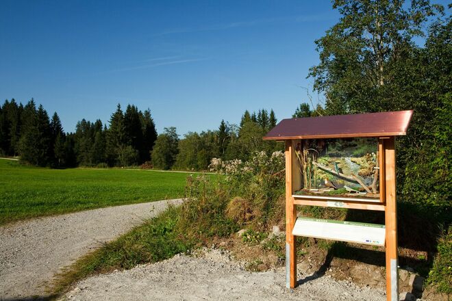 Schaukasten, Station 6
