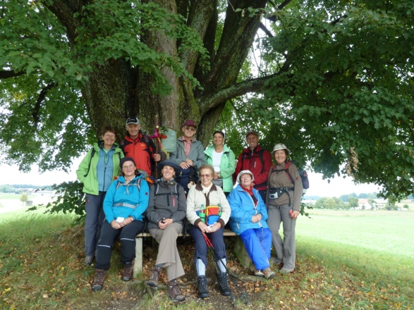 Herrenlinde bei Asten