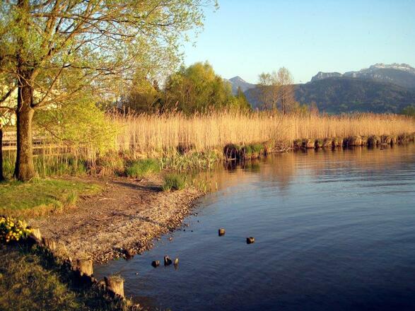 Chiemseeblick bei Bernau/Felden