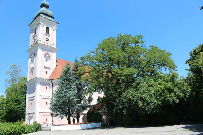Wallfahrtskirche Mariä Himmelfahrt Tading