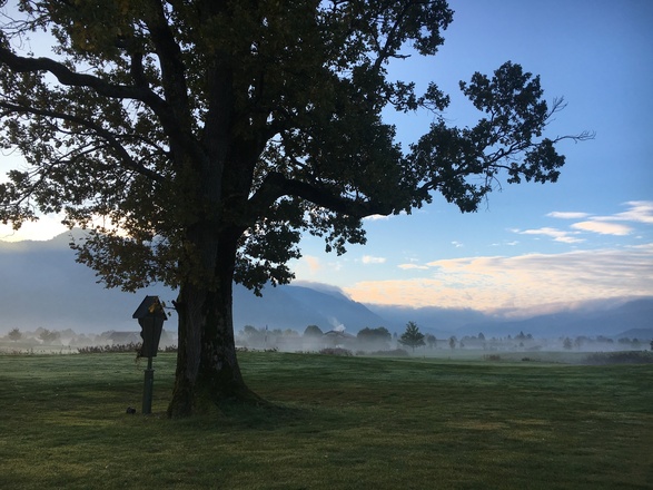 Morgenstimmung am Golfplatz Grassau