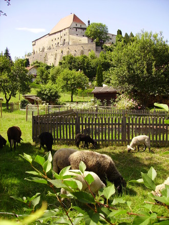 Burg Tittmoning-Barthel