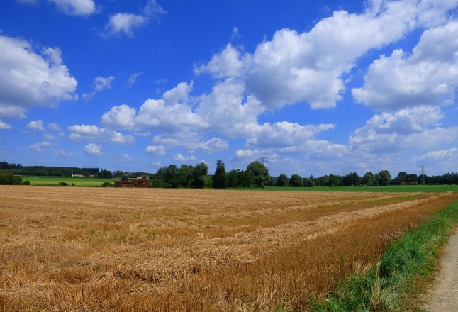 An der Rott bei Massing