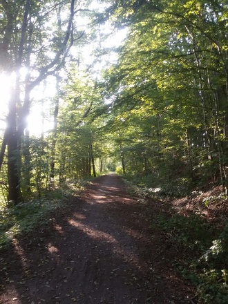 Rentnerweg