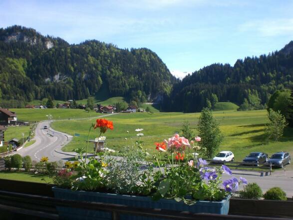 Balkonblick 1. bzw 2. OG SW-Lage