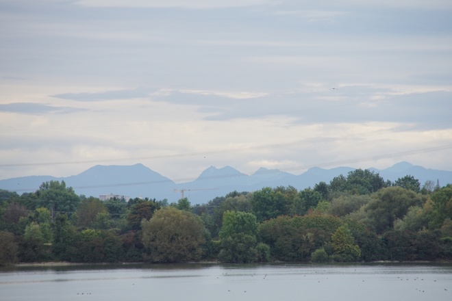 Vogelschutzgebiet am Speichersee