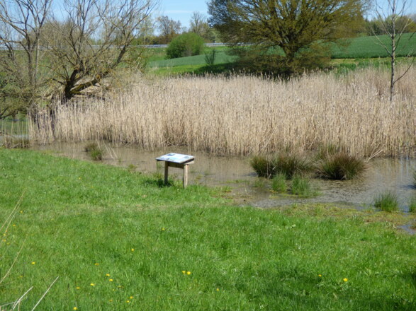 Naturlehrpfad Kühbach