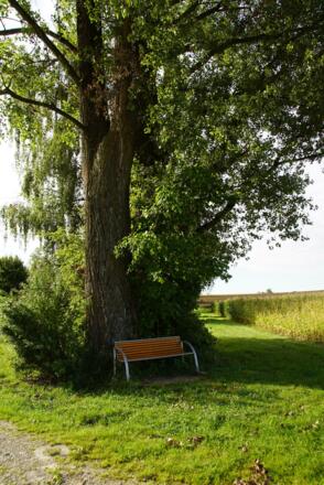 Bankerl an der Streuobstwiese Notzing