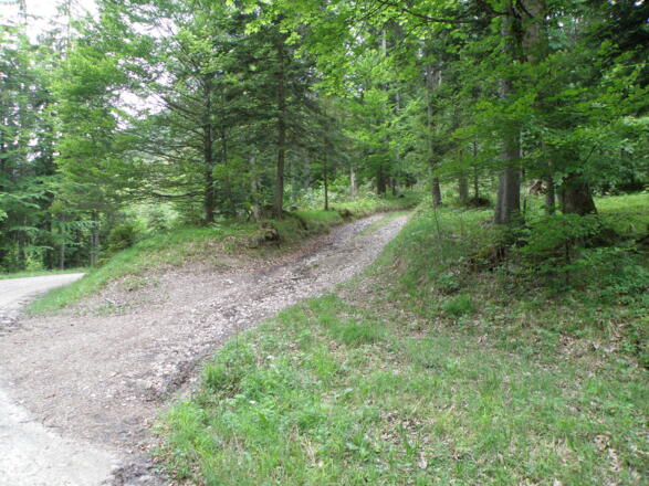 Abzweig Weg 475, 477