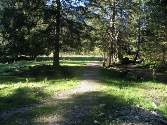 Längental, am Arzbach, Weg  468