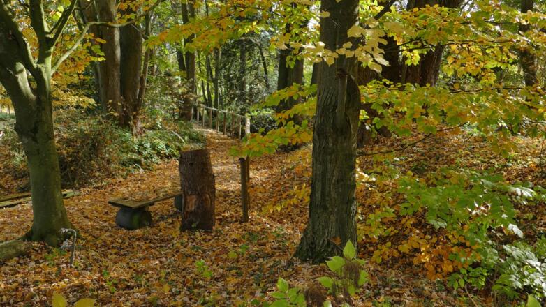 Herbst