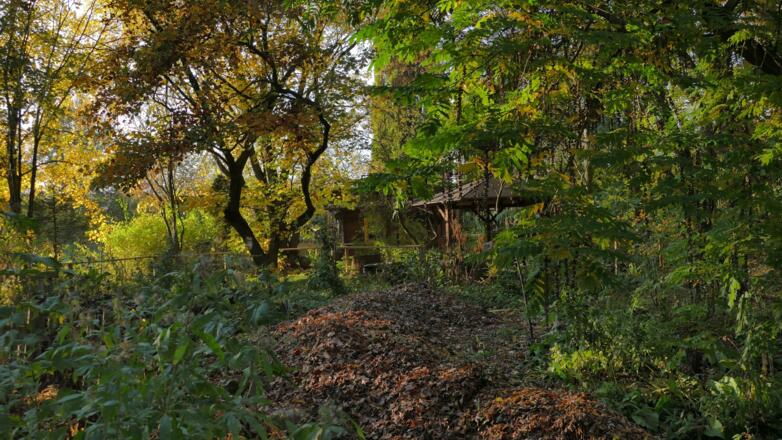 Herbststimmung
