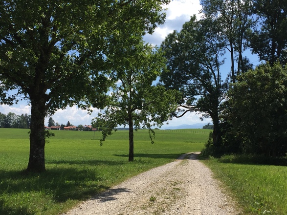 Richtung Ergertshausen