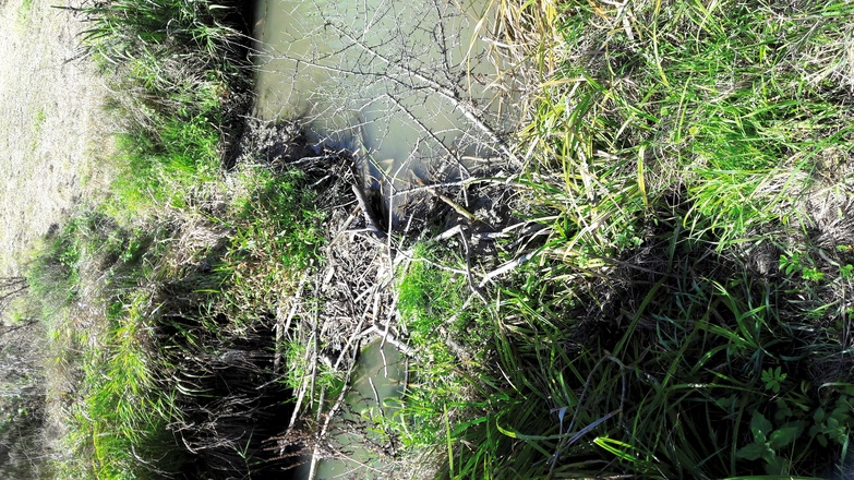 Am Naturlehrpfad
