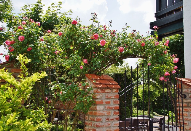 Rosengarten Hinterberg