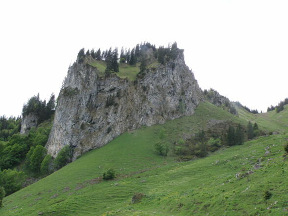 Beigenstein