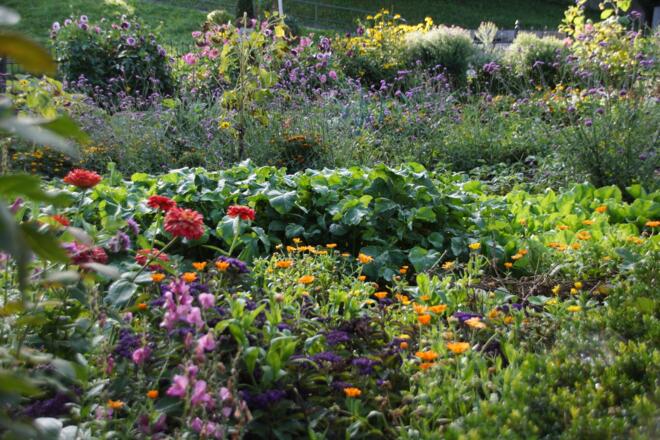 Bauerngarten in Aufkirchen