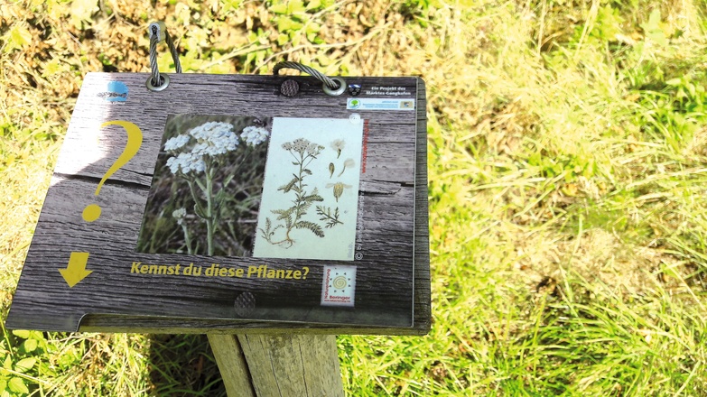 Naturlehrpfad Kühbach