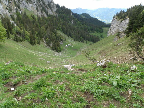 Bratröhrl mit Hinterer Krottenalm