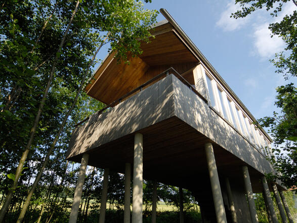 Baumhaus im Hofgut