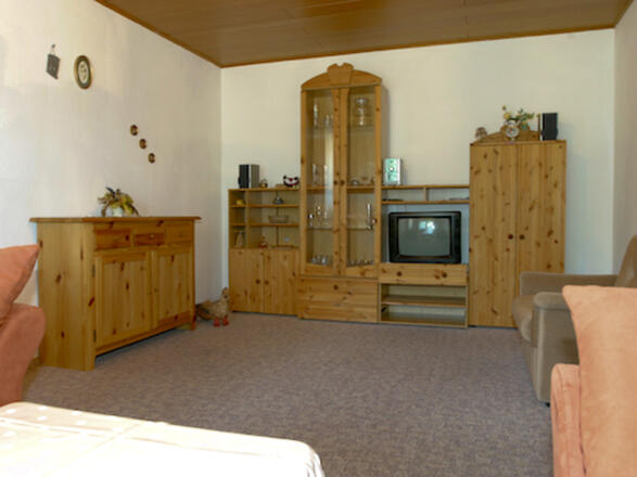 Wohnzimmer Wohnung unten