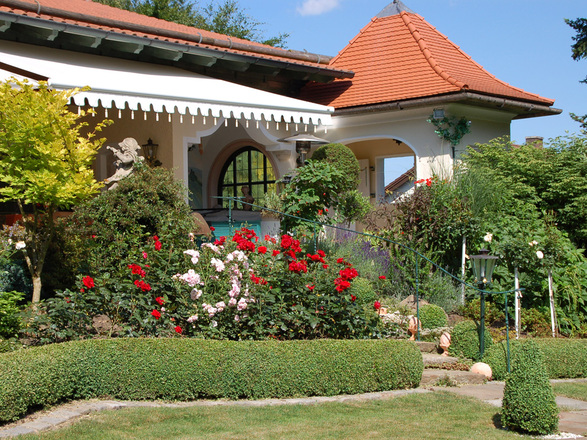 Rosenzauber im Sommer