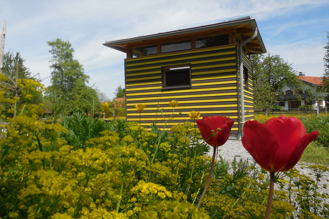 Schaubienenhaus im Frühling