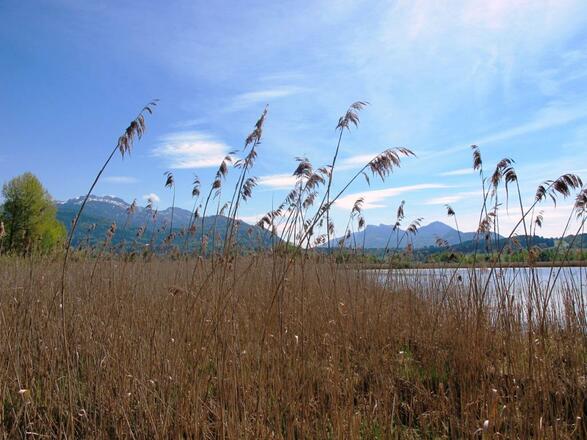 Chiemsee- und Alpenblick