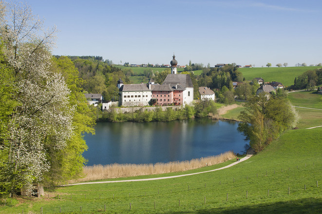 Frühling am Höglwörther See