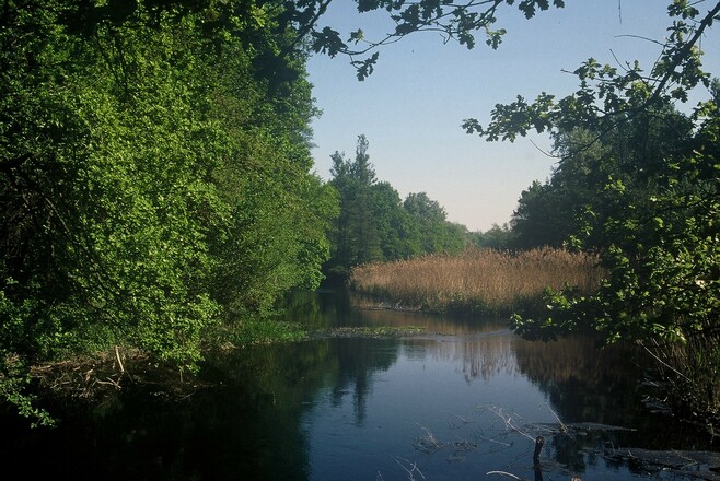 Lußer Stausee-Weg