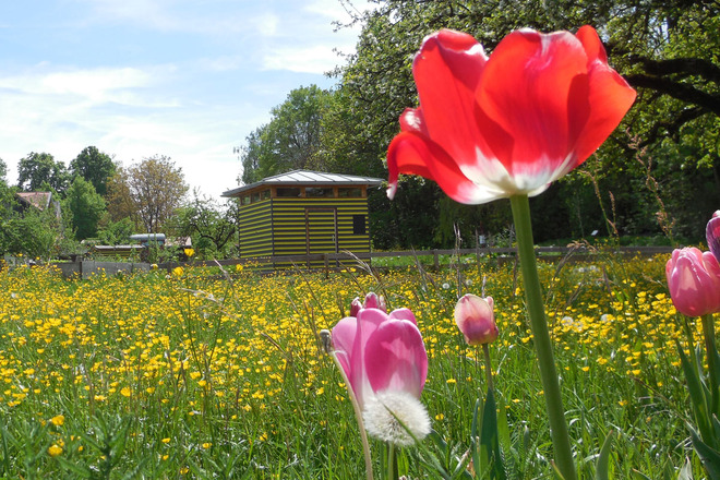 Obst- und Bienenlehrpfad Chieming