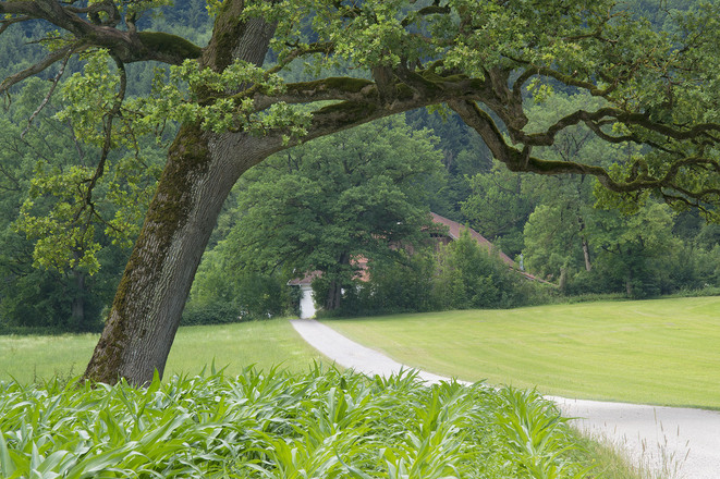Teisendorfer Bierwanderweg