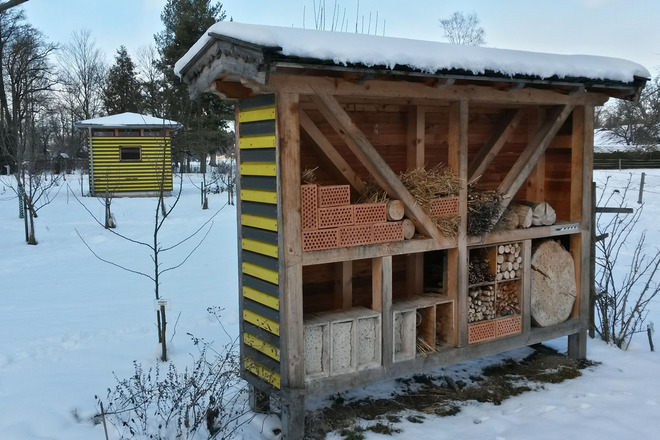 Schaubienenhaus im Winter