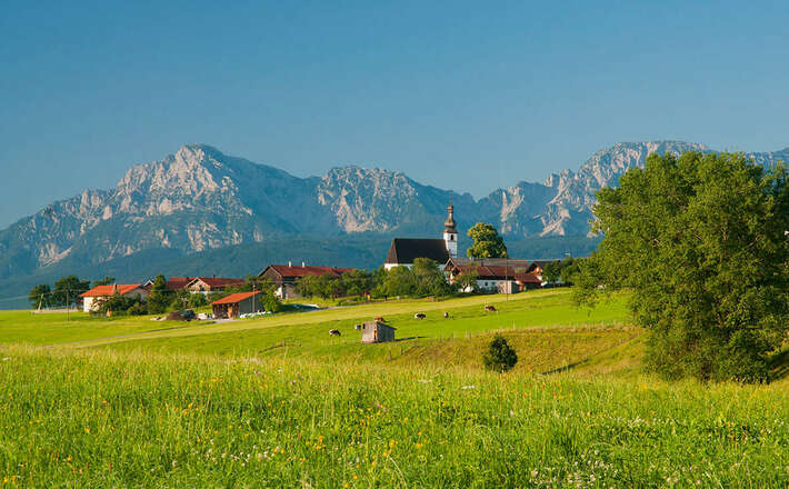 Wimmern