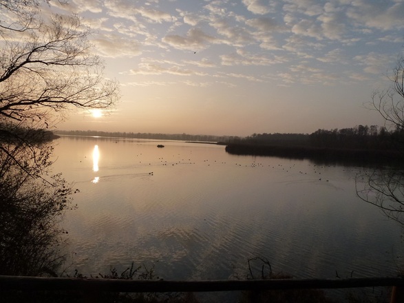 Morgenstimmung am Europareservat Unterer Inn