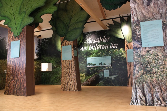 Ausstellung im Naturium - Auwälder