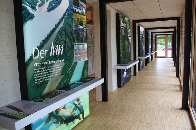 Ausstellung im Naturium