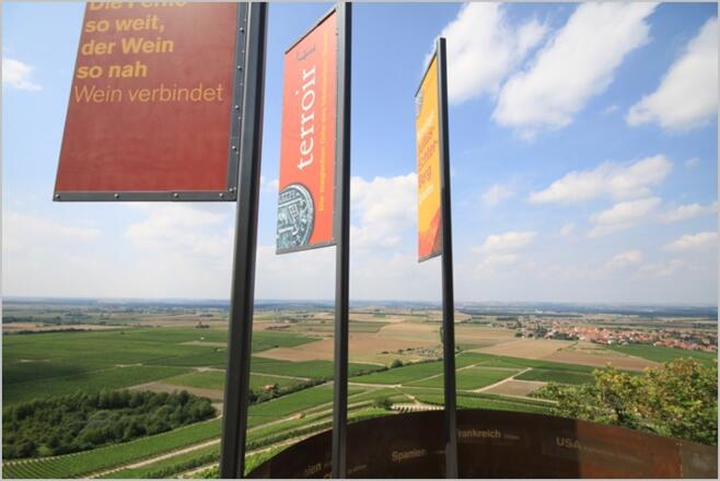 Terroir f von Iphofen