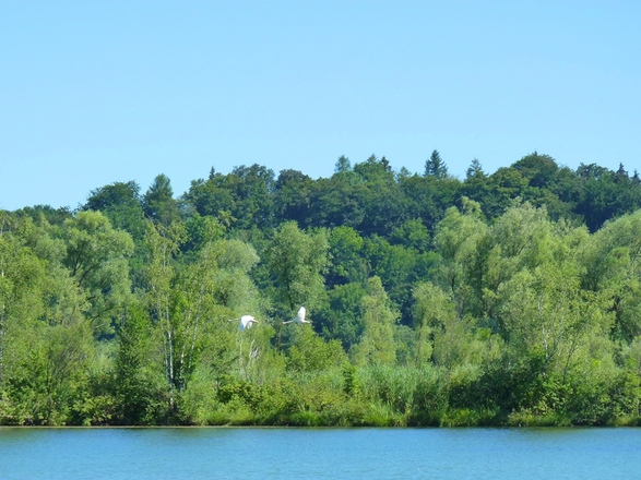Am Badesee bei Bergham
