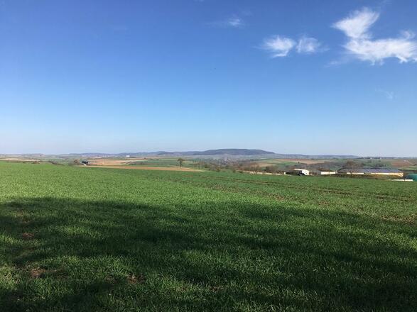 Ausblick ins Weinparadies
