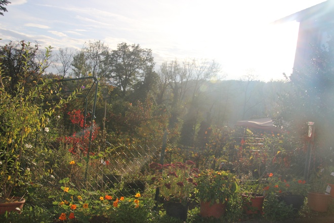 Unser Naturgarten
