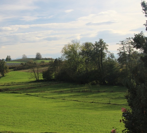 Ausblick von der Terasse