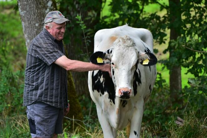 Bei uns im Stall - Landwirtschaft hautnah erleben