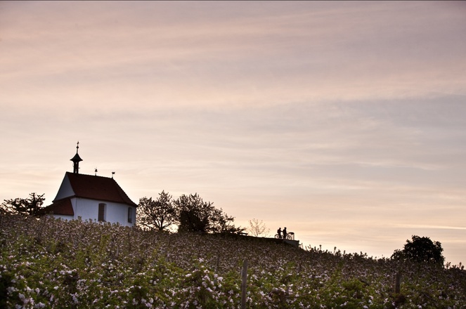 Tourist-Information Wasserburg