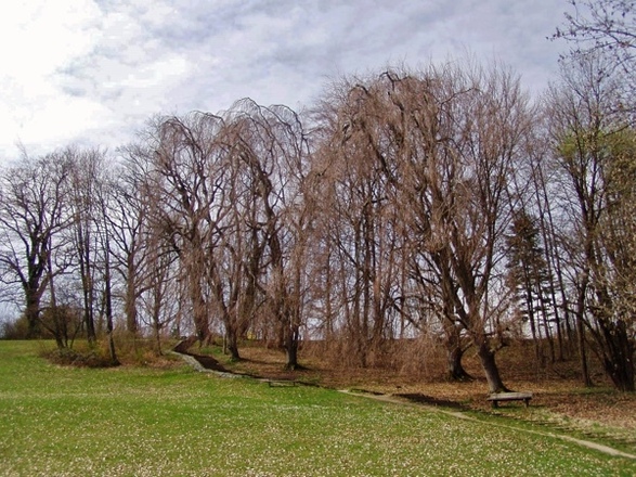 Parkanlage Höhenried