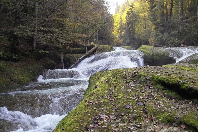 Die Obere Argen