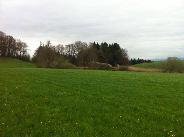 Idyllischer See beim Aussichtspunkt Armeleiten