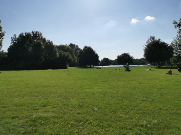 Birkensee