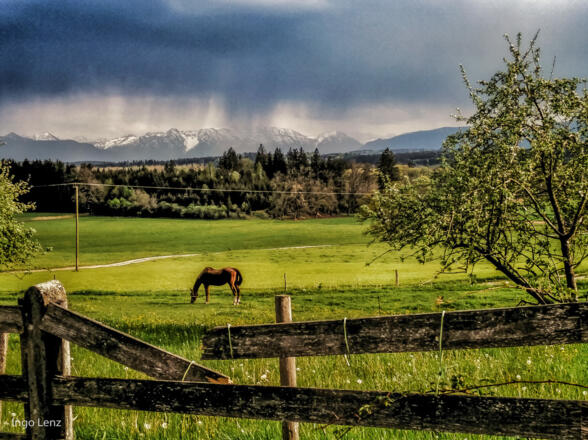 Ferienwohnung Kohler