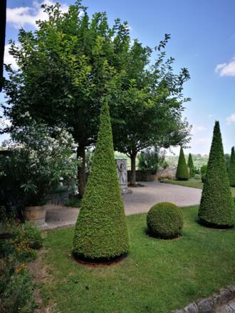 Willibaldsburg Garden